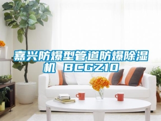 企業(yè)新聞嘉興防爆型管道防爆除濕機 BCGZ10