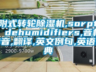 常見問題吸附式轉輪除濕機,sorption dehumidifiers,音標,讀音,翻譯,英文例句,英語詞典