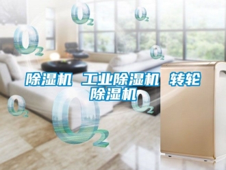 常見問題除濕機(jī) 工業(yè)除濕機(jī) 轉(zhuǎn)輪除濕機(jī)