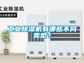 常見問題工業除濕機有哪些不同類型？