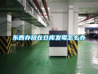 常見問題東西存放在倉庫發霉怎么辦