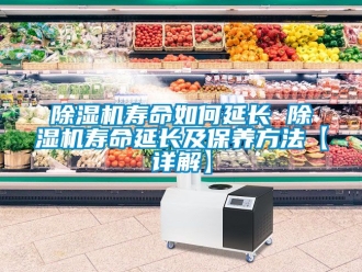 行業(yè)新聞除濕機(jī)壽命如何延長 除濕機(jī)壽命延長及保養(yǎng)方法【詳解】