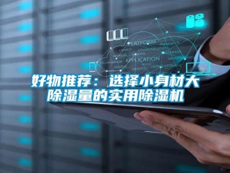 行業(yè)新聞好物推薦：選擇小身材大除濕量的實(shí)用除濕機(jī)