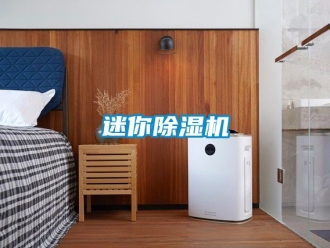 行業(yè)新聞迷你除濕機(jī)
