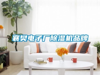 企業(yè)新聞襄樊電子廠除濕機品牌