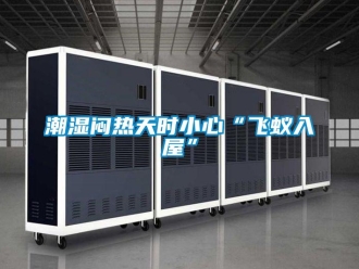 企業新聞潮濕悶熱天時小心“飛蟻入屋”