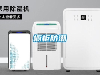 企業(yè)新聞櫥柜防潮