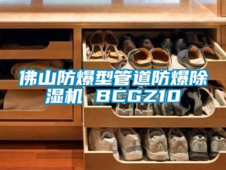 企業(yè)新聞佛山防爆型管道防爆除濕機(jī) BCGZ10