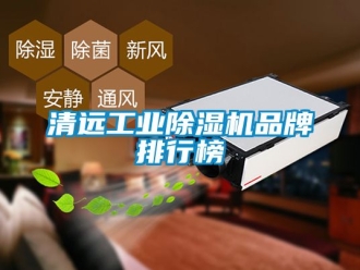 常見問題清遠(yuǎn)工業(yè)除濕機(jī)品牌排行榜