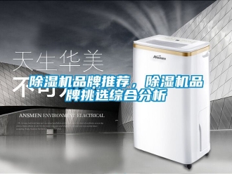 企業(yè)新聞除濕機(jī)品牌推薦，除濕機(jī)品牌挑選綜合分析