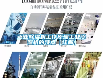 常見(jiàn)問(wèn)題工業(yè)除濕機(jī)工作原理工業(yè)除濕機(jī)的特點(diǎn)【詳解】