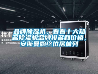 企業(yè)新聞品牌除濕機，看看十大知名除濕機品牌排名和價格，安斯曼始終位居前列