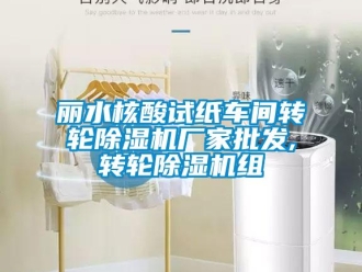 企業(yè)新聞麗水核酸試紙車間轉(zhuǎn)輪除濕機(jī)廠家批發(fā),轉(zhuǎn)輪除濕機(jī)組