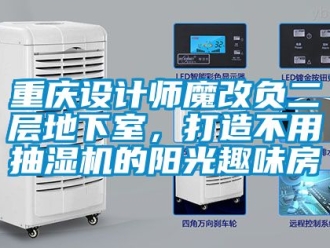 企業新聞重慶設計師魔改負二層地下室，打造不用抽濕機的陽光趣味房