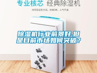 常見問題除濕機行業前景好,但是目前市場如何突破？