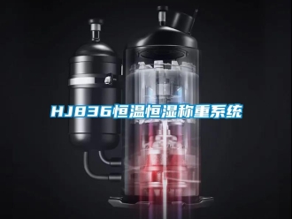 常見問題HJ836恒溫恒濕稱重系統(tǒng)