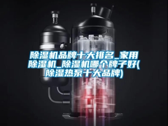 企業新聞除濕機品牌十大排名_家用除濕機_除濕機哪個牌子好(除濕熱泵十大品牌)