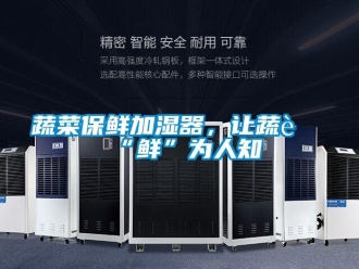 知識百科蔬菜保鮮加濕器，讓蔬菜“鮮”為人知