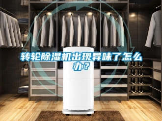 常見問題轉(zhuǎn)輪除濕機(jī)出現(xiàn)異味了怎么辦？