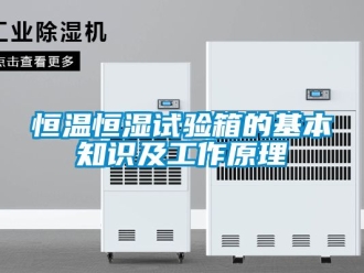知識百科恒溫恒濕試驗箱的基本知識及工作原理