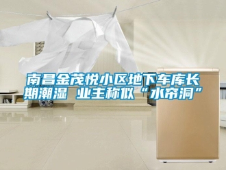 企業(yè)新聞南昌金茂悅小區(qū)地下車庫長期潮濕 業(yè)主稱似“水簾洞”