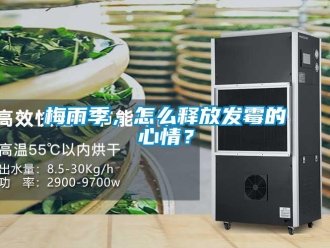 常見問題梅雨季，怎么釋放發霉的心情？