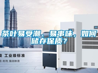 常見問題茶葉易受潮、易串味，如何儲存保質？