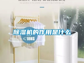 企業新聞除濕機的作用是什么