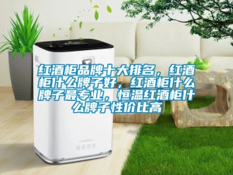 知識百科紅酒柜品牌十大排名，紅酒柜什么牌子好，紅酒柜什么牌子最專業，恒溫紅酒柜什么牌子性價比高