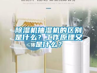 企業新聞除濕機抽濕機的區別是什么？工作原理又是什么？