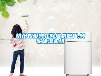 常見問題杭州蜂巢轉(zhuǎn)輪除濕機規(guī)格,轉(zhuǎn)輪除濕機組