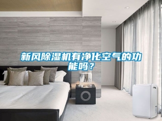 常見問題新風除濕機有凈化空氣的功能嗎？