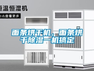 行業(yè)新聞面條烘干機(jī)，面條烘干除濕一機(jī)搞定