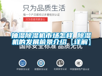 企業新聞抽濕除濕機市場怎樣 除濕機的發展前景介紹【詳解】