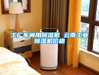 常見問題工廠車間用除濕機 云南工業除濕機價格