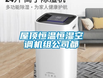 知識百科屋頂恒溫恒濕空調(diào)機組公司都