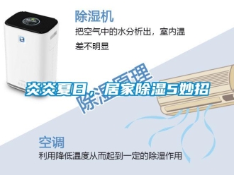 知識百科炎炎夏日，居家除濕5妙招