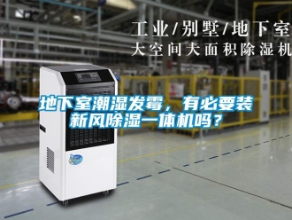 常見問題地下室潮濕發霉，有必要裝新風除濕一體機嗎？