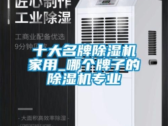 常見問題十大名牌除濕機家用_哪個牌子的除濕機專業