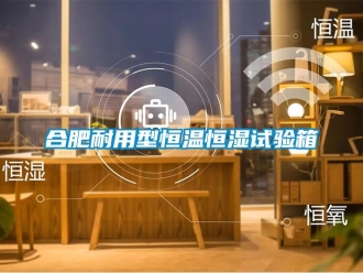 知識(shí)百科合肥耐用型恒溫恒濕試驗(yàn)箱