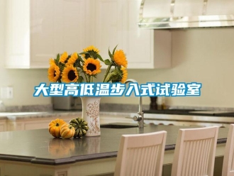 常見問題大型高低溫步入式試驗(yàn)室