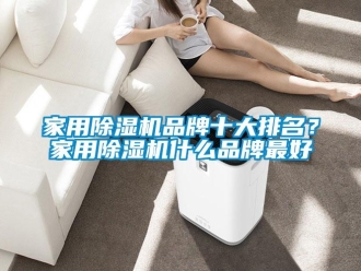企業(yè)新聞家用除濕機(jī)品牌十大排名？家用除濕機(jī)什么品牌最好
