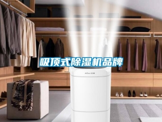 企業(yè)新聞吸頂式除濕機品牌