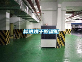 知識百科柿餅烘干除濕機