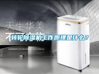 知識百科轉(zhuǎn)輪除濕機(jī)工作原理是什么？