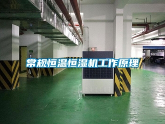 知識百科常規恒溫恒濕機工作原理