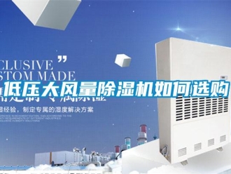 常見問題低壓大風(fēng)量除濕機(jī)如何選購