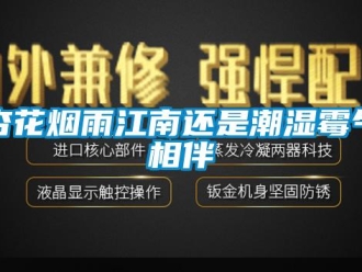 知識百科杏花煙雨江南還是潮濕霉氣相伴