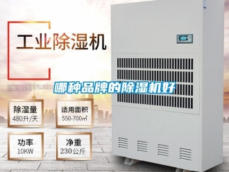 企業新聞哪種品牌的除濕機好