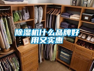 企業新聞除濕機什么品牌好用又實惠
